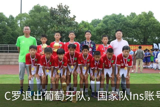 C罗退出葡萄牙队，国家队Ins账号真掉粉800万？实际23.8万到120万