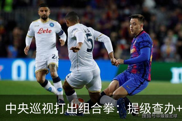 中央巡视打出组合拳：提级查办+深挖保护伞，查到线索再也瞒不住