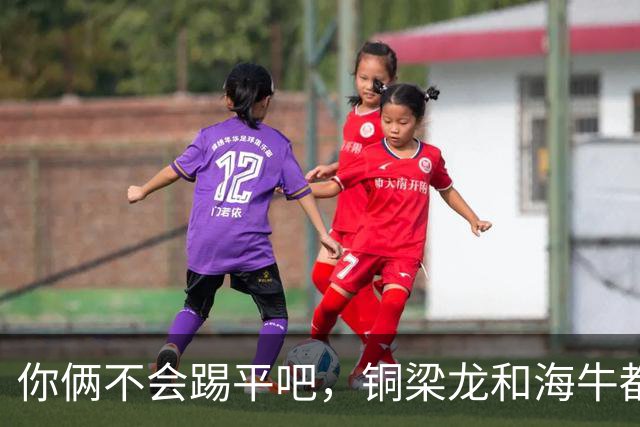 你俩不会踢平吧，铜梁龙和海牛都在中超遭遇了12轮不胜