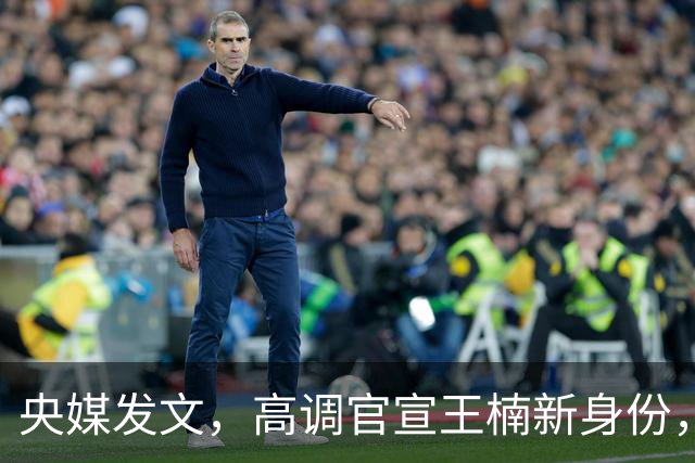 央媒发文，高调官宣王楠新身份，资产查封被带走调查传闻早有真相
