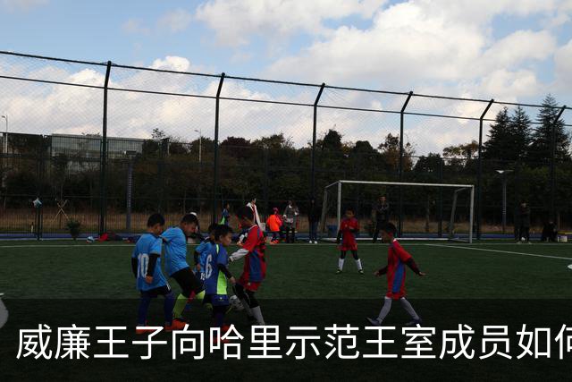 威廉王子向哈里示范王室成员如何真正接受电视采访，差距一目了然
