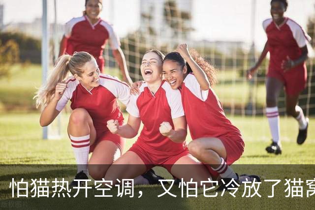 怕猫热开空调，又怕它冷放了猫窝，结果一看监控，绝了！