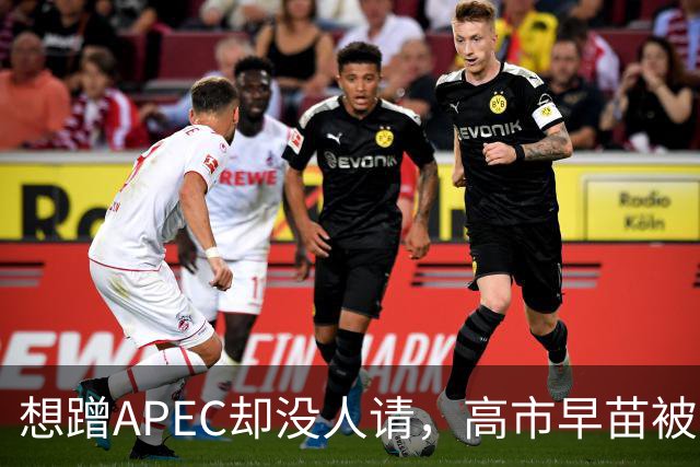 想蹭APEC却没人请，高市早苗被晾一边，台阶找得太滑稽