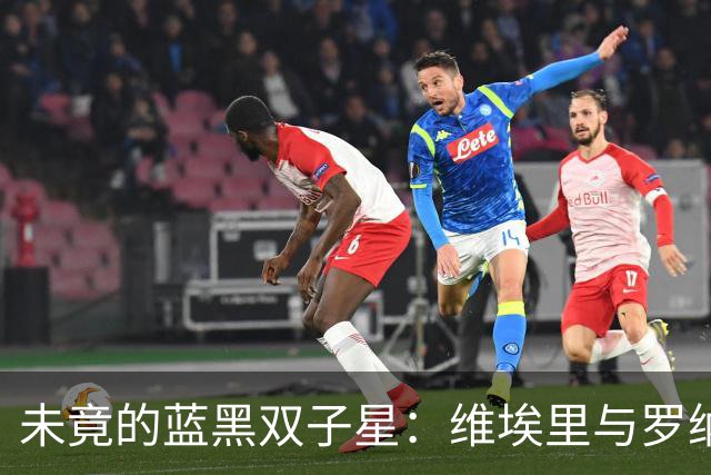 未竟的蓝黑双子星：维埃里与罗纳尔多的场下莫逆