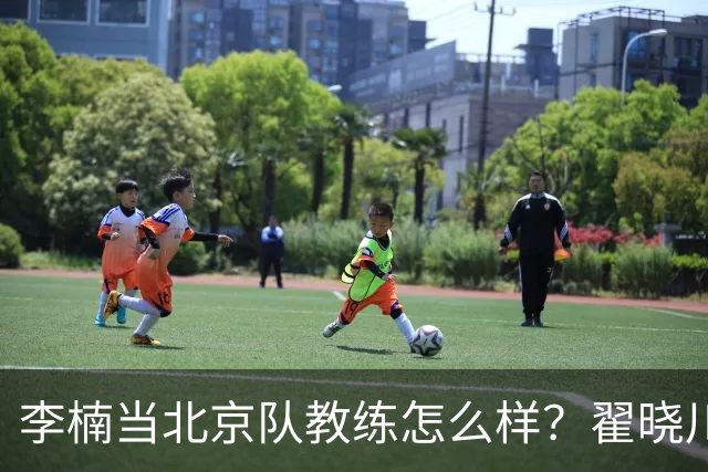 李楠当北京队教练怎么样？翟晓川毫不遮掩说心里话，说得真实在