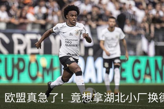 欧盟真急了！竟想拿湖北小厂换德国12人作坊，阿斯麦供应链要断了