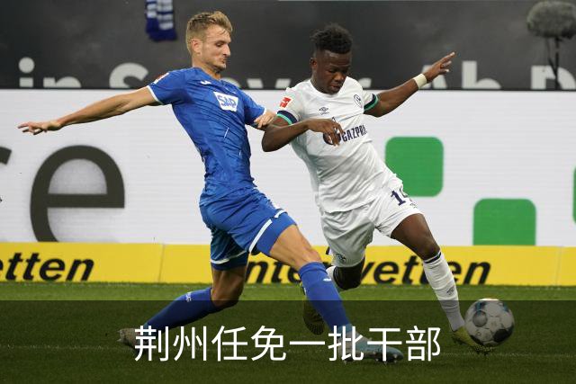 荆州任免一批干部