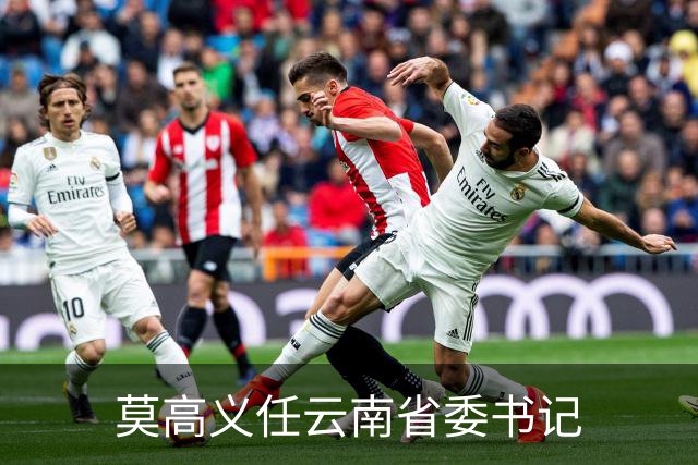 莫高义任云南省委书记