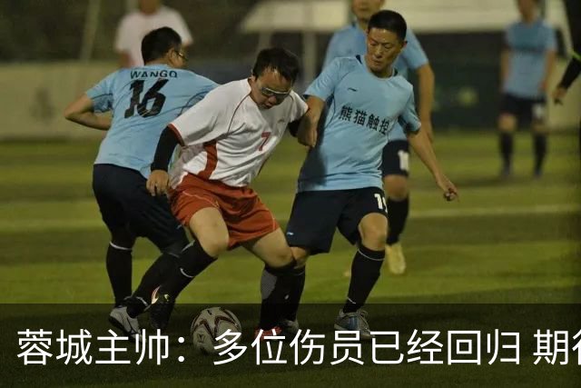 蓉城主帅：多位伤员已经回归 期待主场把这个冠军拿下