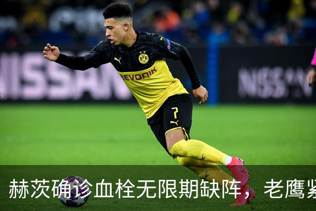 赫茨确诊血栓无限期缺阵，老鹰紧急从牛仔挖来替补四分卫