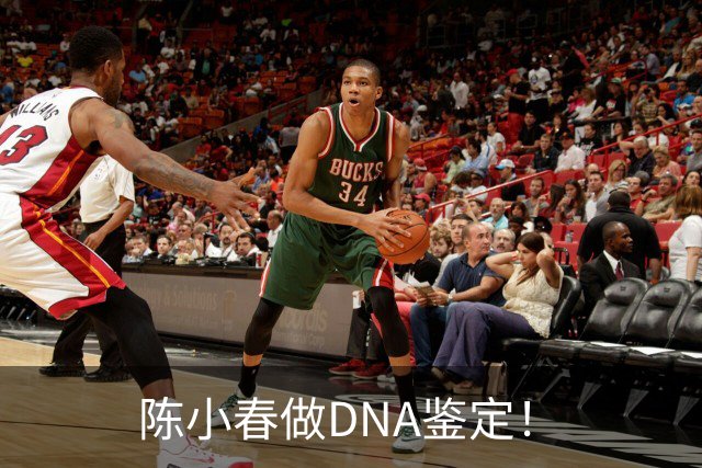 陈小春做DNA鉴定！