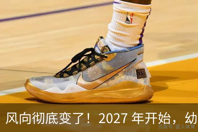 风向彻底变了！2027 年开始，幼儿园、养老院、月嫂行业或迎大变局